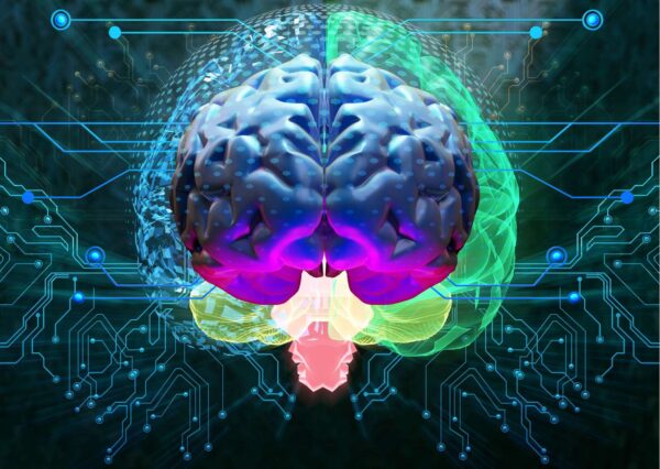 Brain Training Expertise