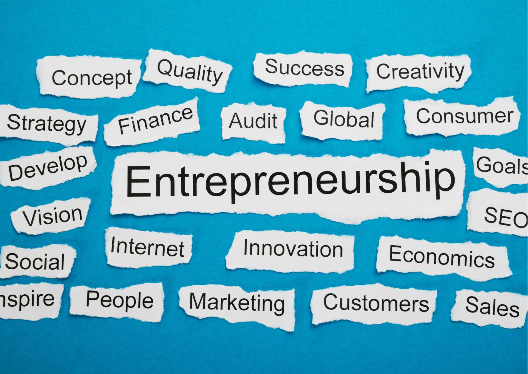 Entrepreneurship Mastery: Business and Success