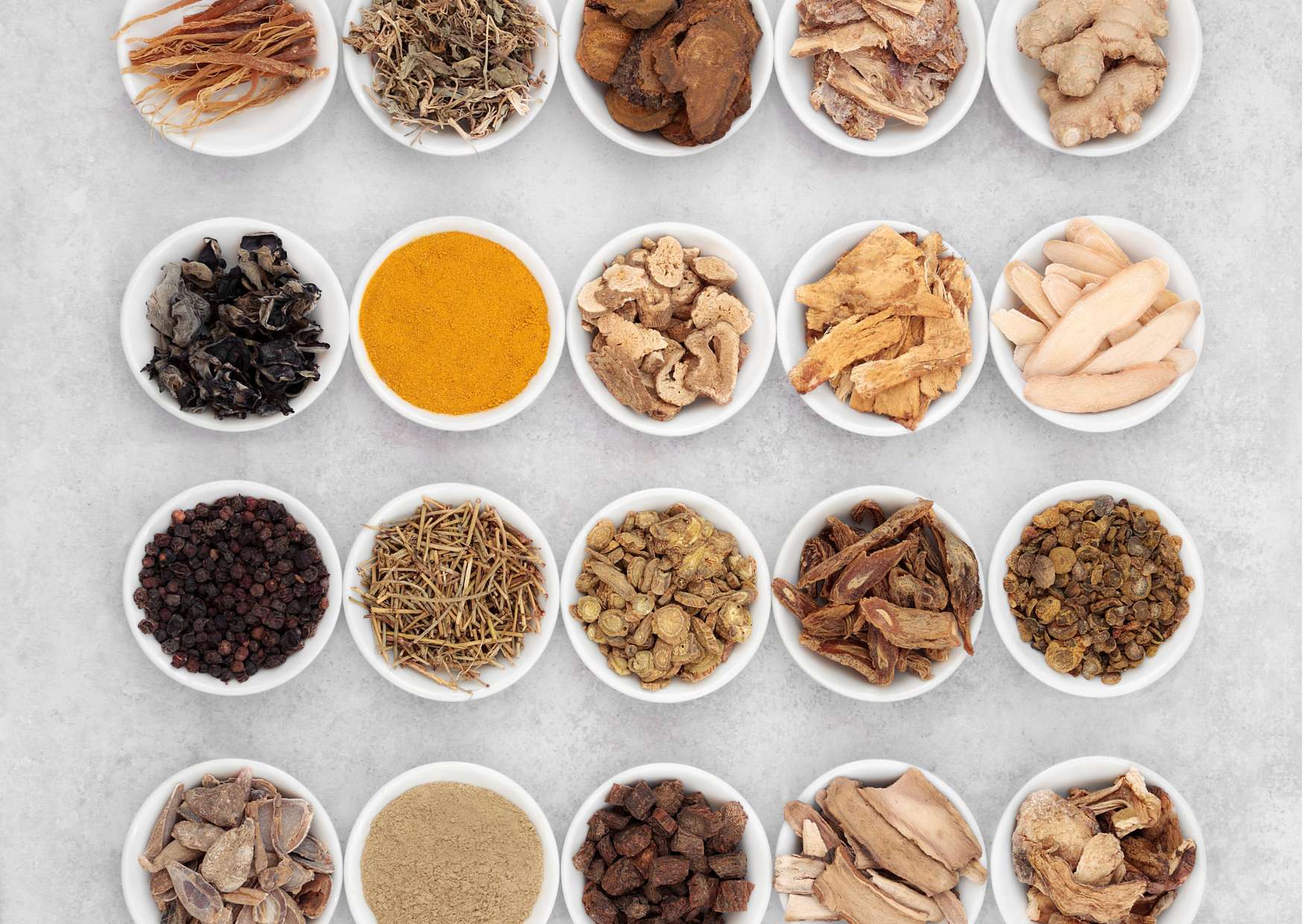 Food Science Fundamentals