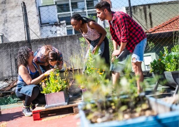 Fundamental Gardening Course