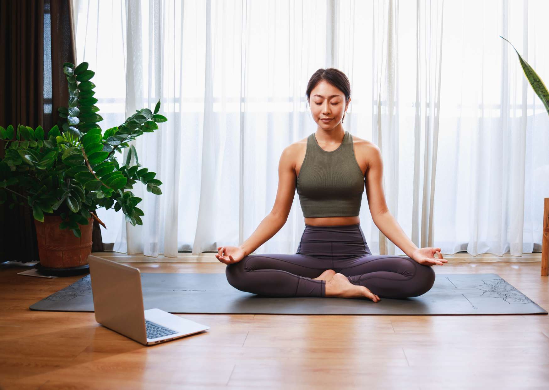 Online Meditation Course