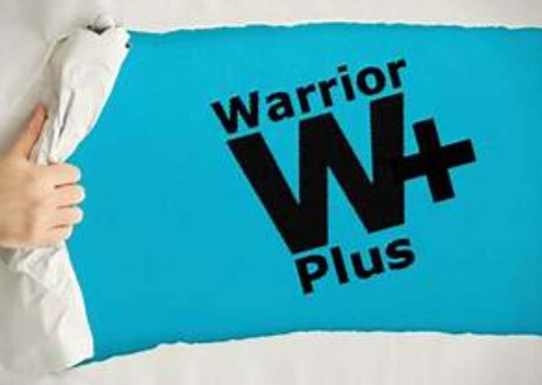 WarriorPlus Revenue Optimization