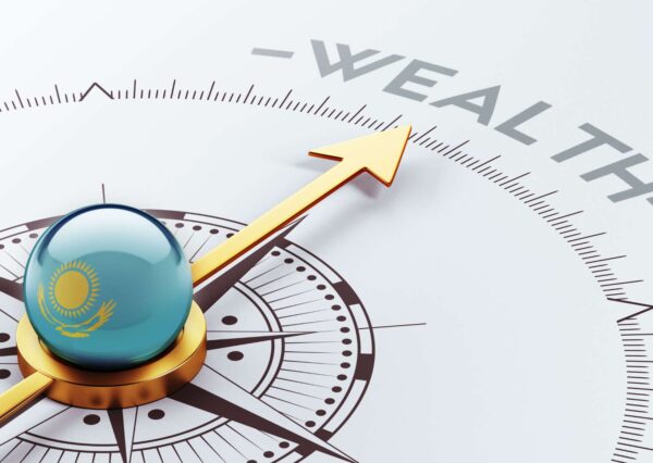 Wealth Generation Accelerator